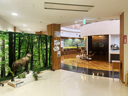 展示室入口付近の風景