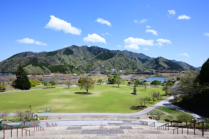 宮ヶ瀬湖畔の新緑