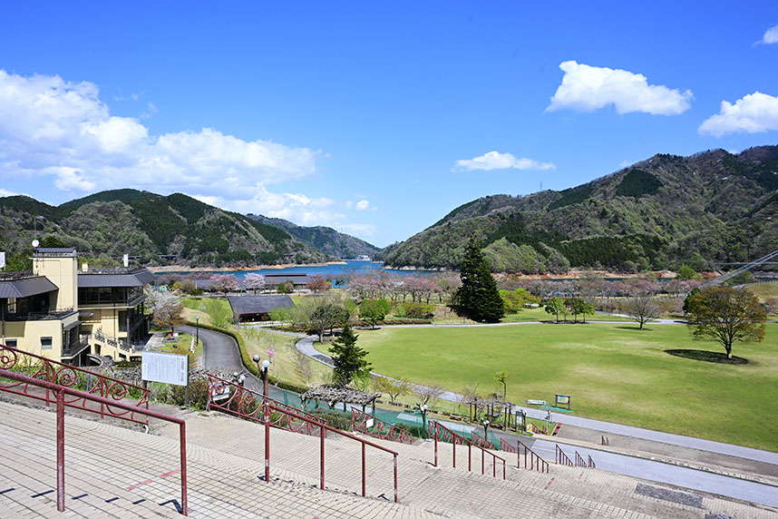 宮ヶ瀬湖畔の新緑2