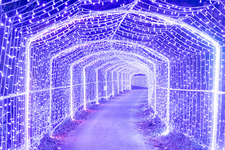 光の大トンネル