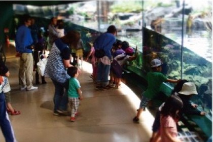 相模川觸合科學館水族館相模原