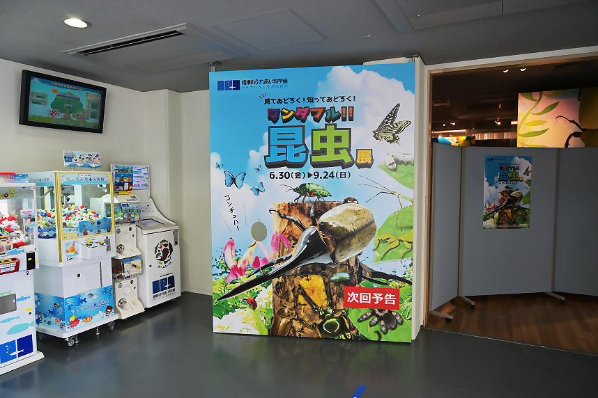 イベントコーナー