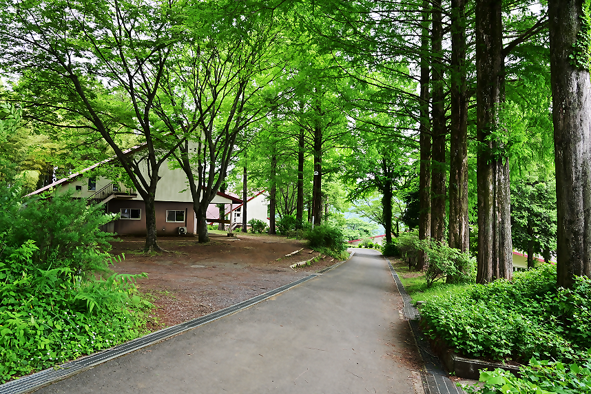 森林に囲まれた宿泊棟の写真