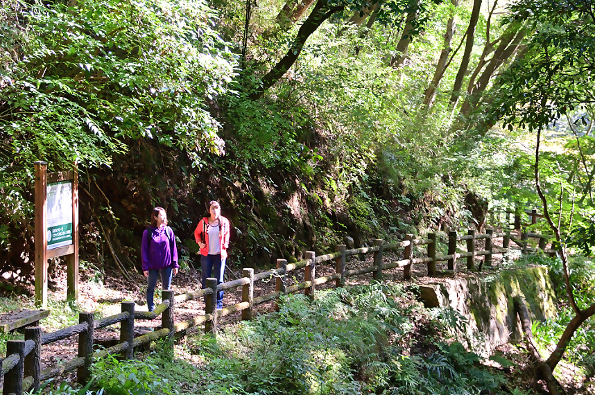 女性にも優しいコース
