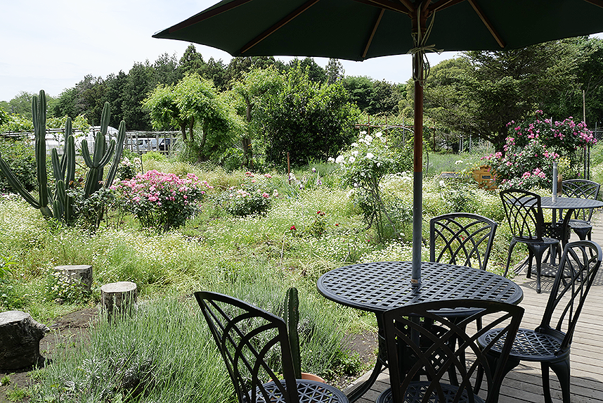 モナ・サンサールのテラスから