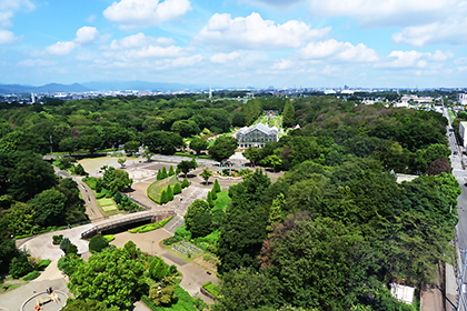 展望台からの景観