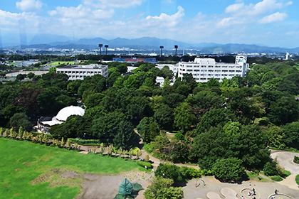 展望塔からの遠景