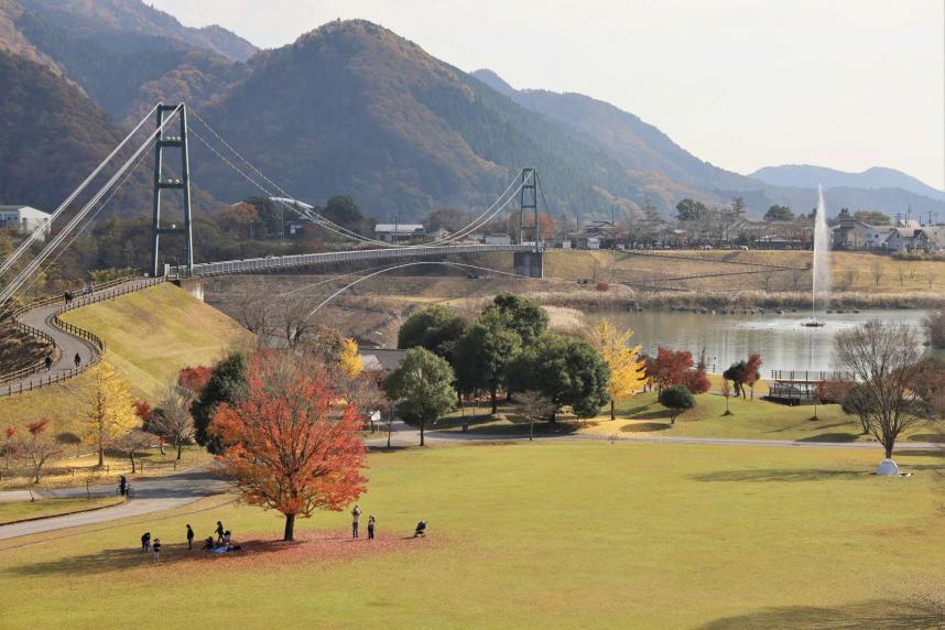 湖畔園地の風景