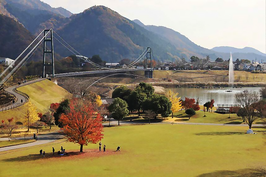 湖畔園地の風景