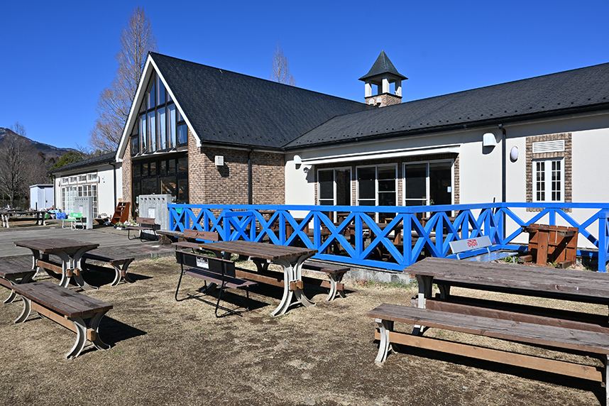 ふれあいの館裏側から撮影