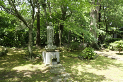 参道に面した風景