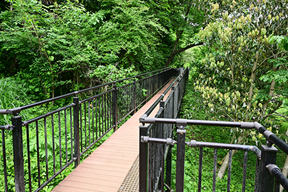 あつぎこどもの森公園の「森の空中回廊」3