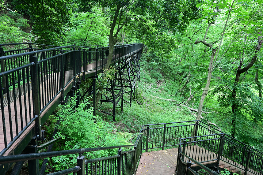 あつぎこどもの森公園の「森の空中回廊」分岐点