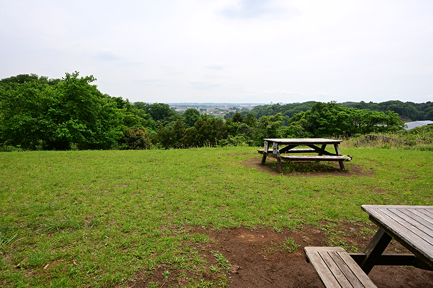 あつぎこどもの森公園の「くぬぎの丘」