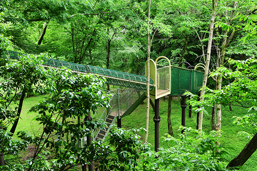 あつぎこどもの森公園の「リスの道」