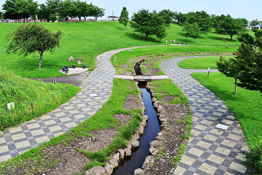 大和ゆとりの森・修景池ゾーン