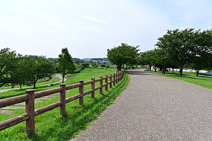 大和ゆとりの森5