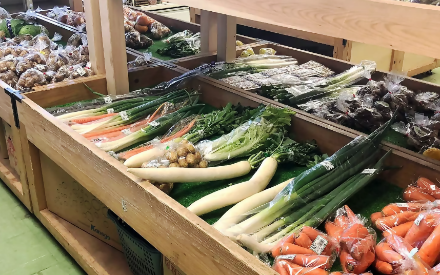 観光センターに入荷した野菜類
