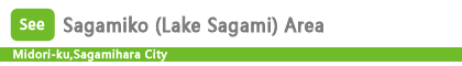 Sagamiko (Lake Sagami) Area