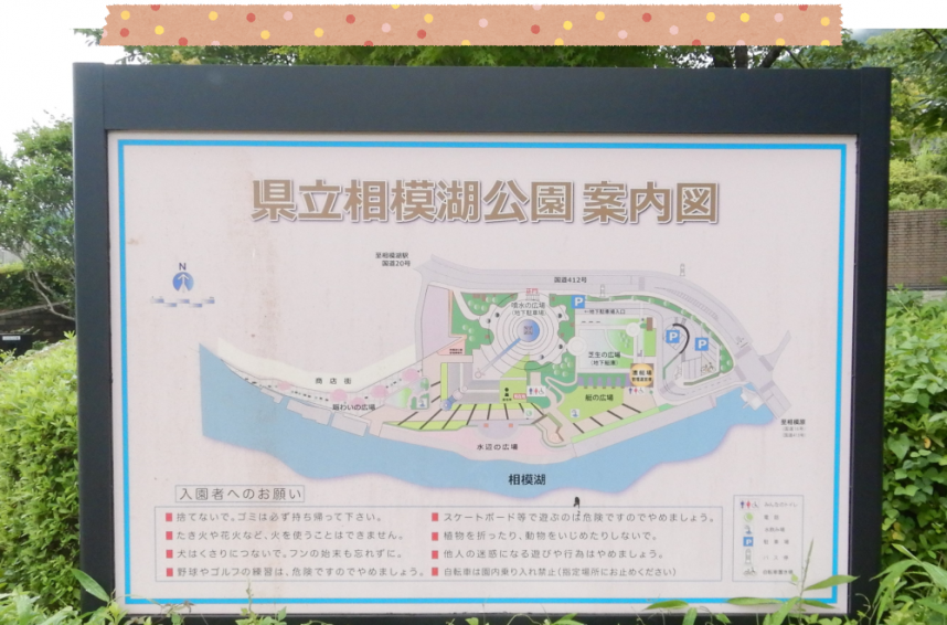 公園内の案内図