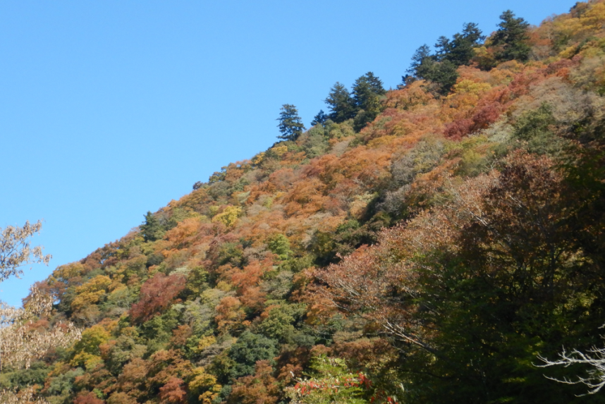 三井大橋からの風景2