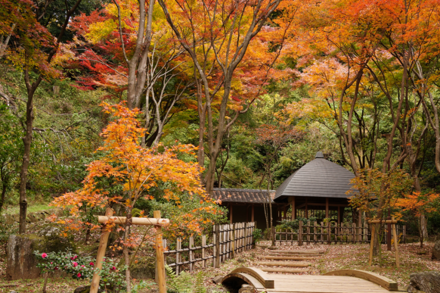 七沢森林公園‗寸草亭