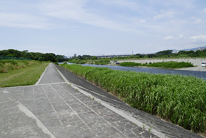 県立三川公園の横を流れる相模川
