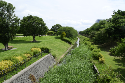 県立三川公園鳩川