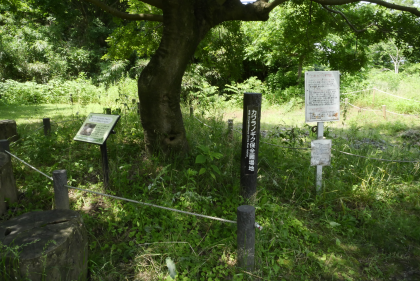 県立三川公園の自然観察園