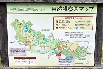 エリア内案内の簡易地図