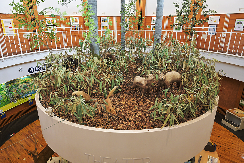 2階から見ることができるジオラマ