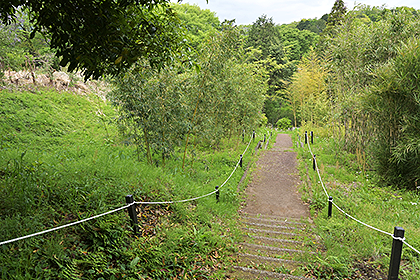自然観察園内にある通路の様子