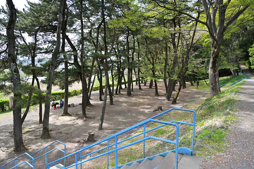 キャンプ場の様子