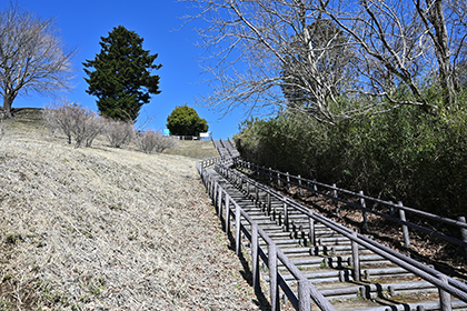 駐車場からの長い階段