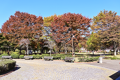 湖畔庭園の紅葉