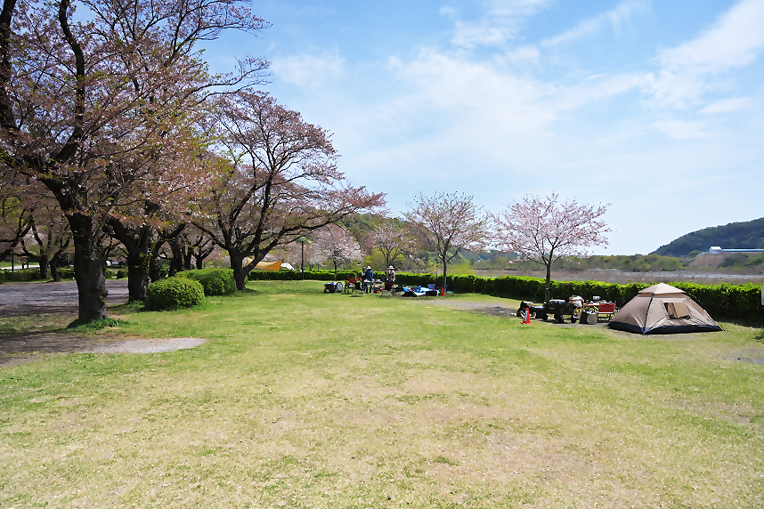 上大島キャンプ場の様子