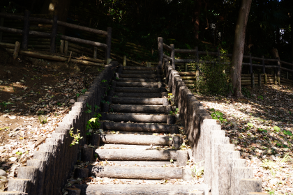 亀島自然公園の様子