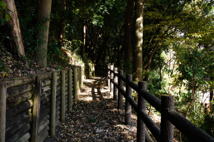 亀島自然公園の様子