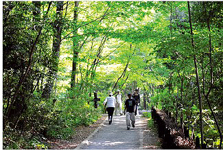 座間谷戶山公園