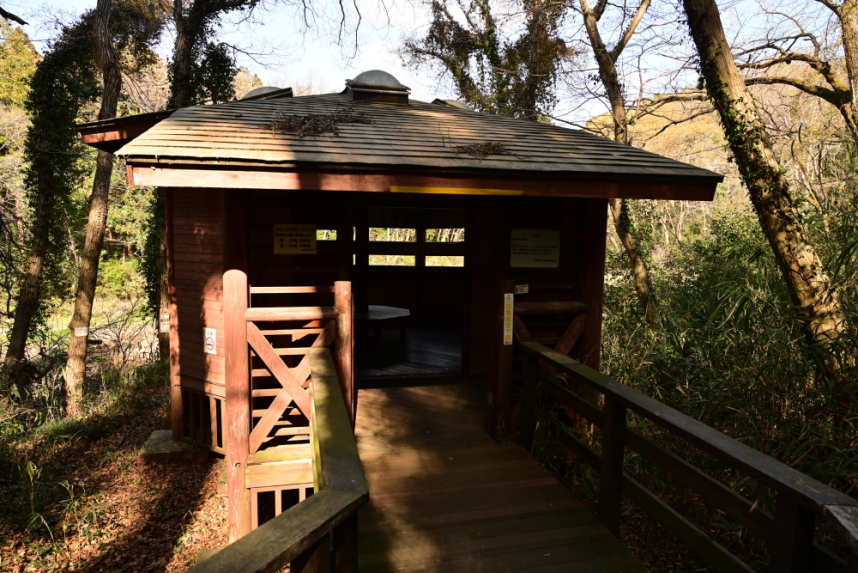 水鳥の池を見下ろす観察小屋