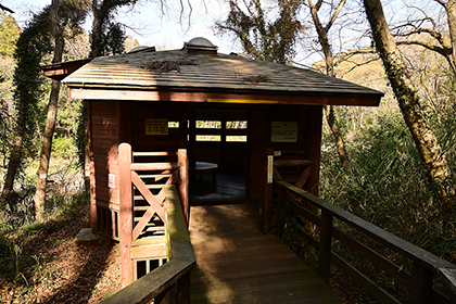 水鳥の池を見下ろす観察小屋
