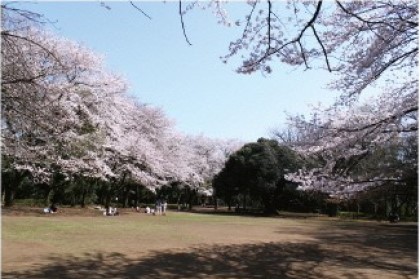 城山公園