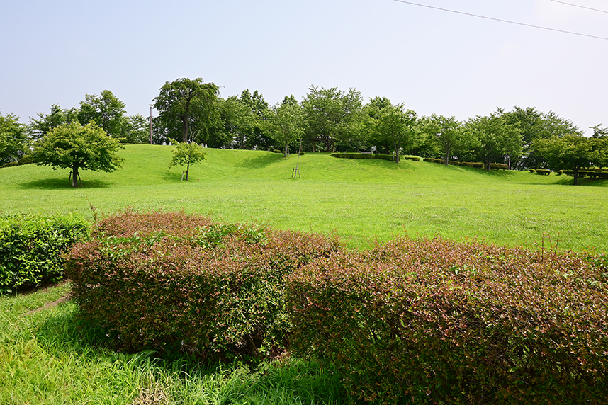 蟹ヶ谷公園の広場