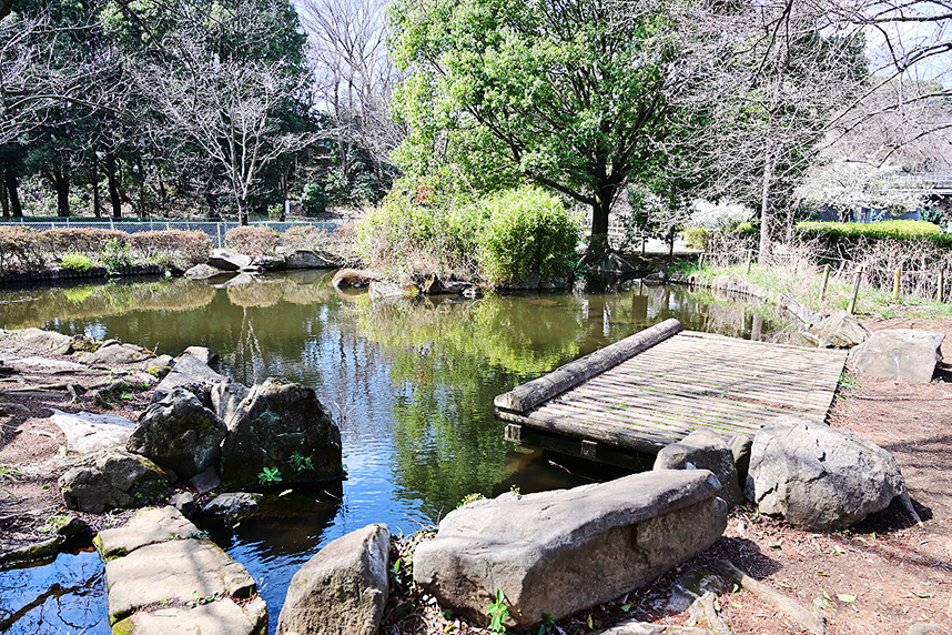 公園内にある池