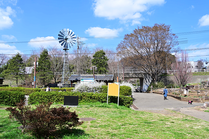 風車と売店の屋根