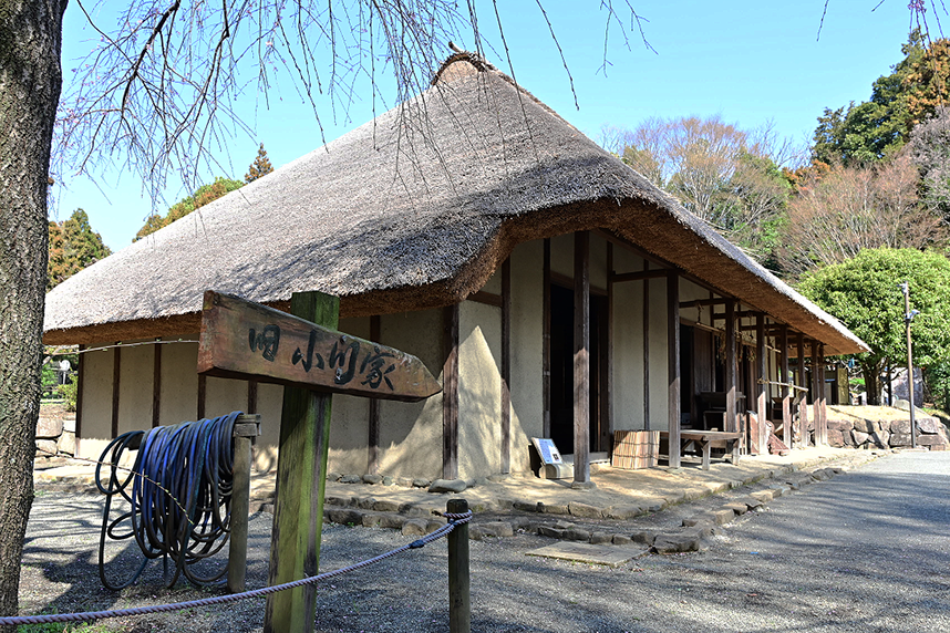 民家園＿旧小川主屋全景