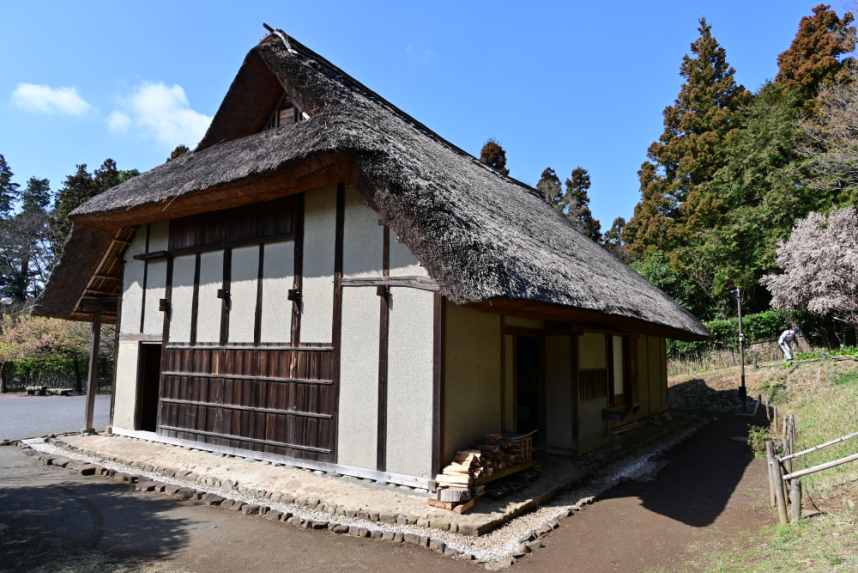 旧北島家主屋の裏