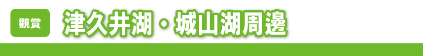津久井湖・城山湖周邊