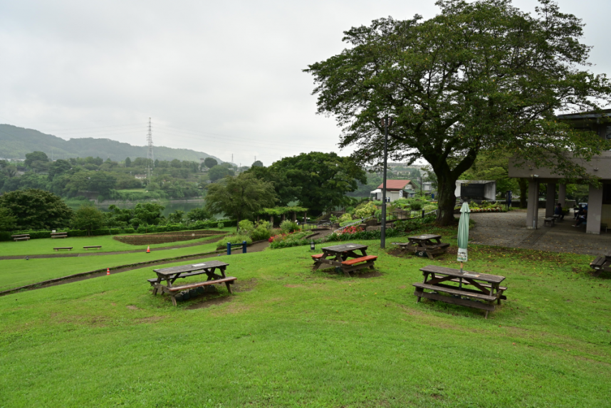 津久井湖観光センターの広場