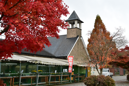 鳥居原互動之館